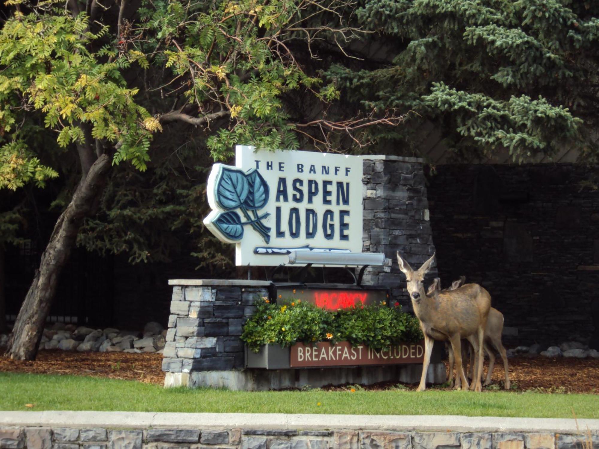 Banff Aspen Lodge Exterior photo
